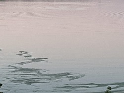 rhythm principle of photography